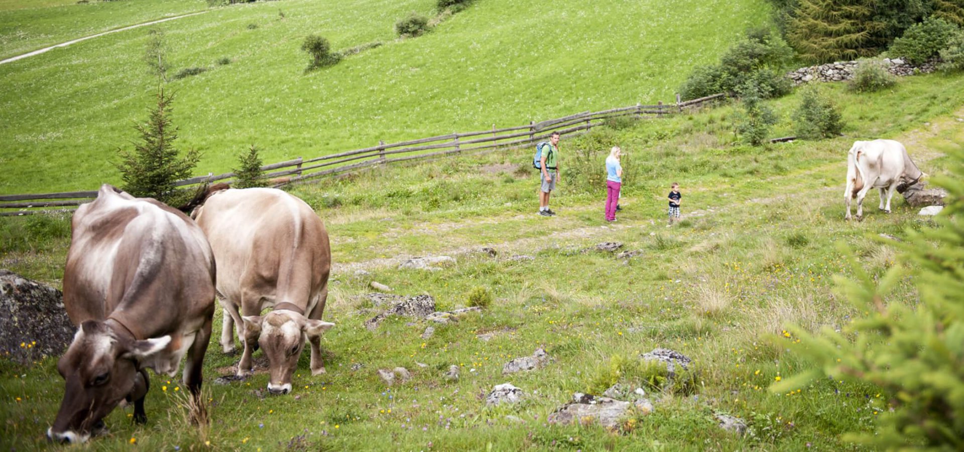 Familienurlaub-auf-dem-Bauernhof