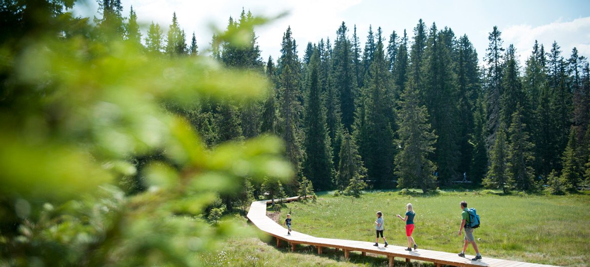 wanderferien-suedtirol